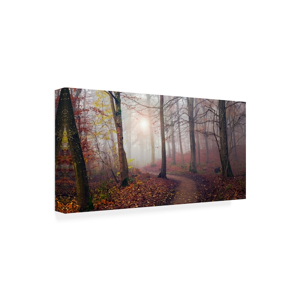 Leif Londal 'Autumn Sun' Canvas Art,12x24